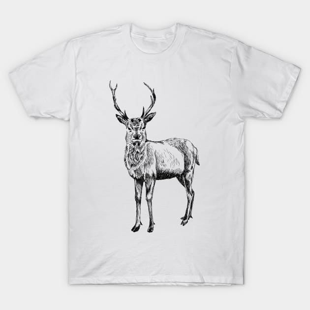 Deer T-Shirt by rachelsfinelines